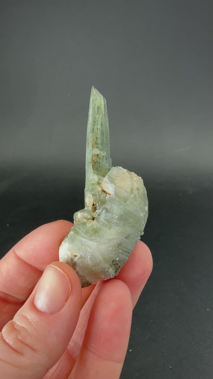 Chlorite Included Quartz from Mt. Ganesh, Nepal TF2186