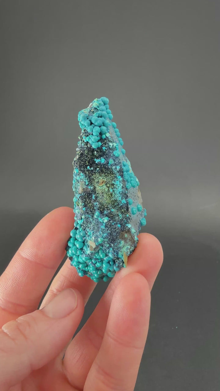 2.5" Quartz with Chrysocolla from Tentadora Mine DX1520