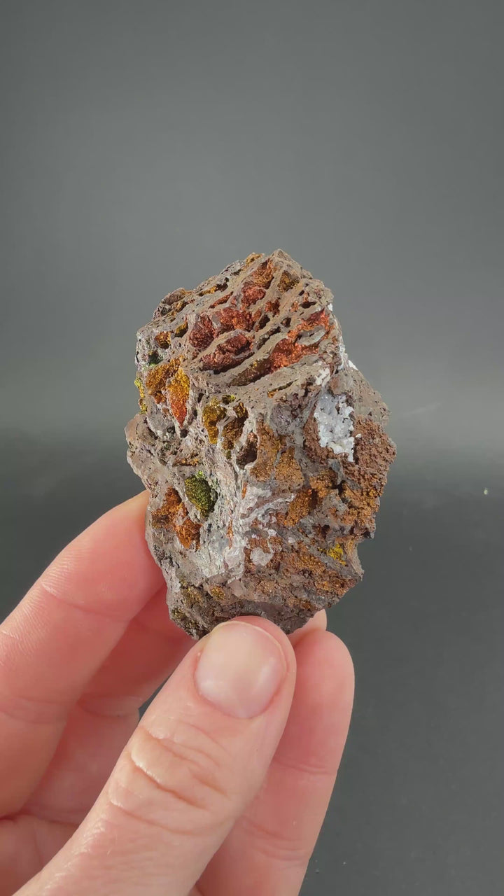 Iridescent Goethite (Turgite) from Mexico DS1450