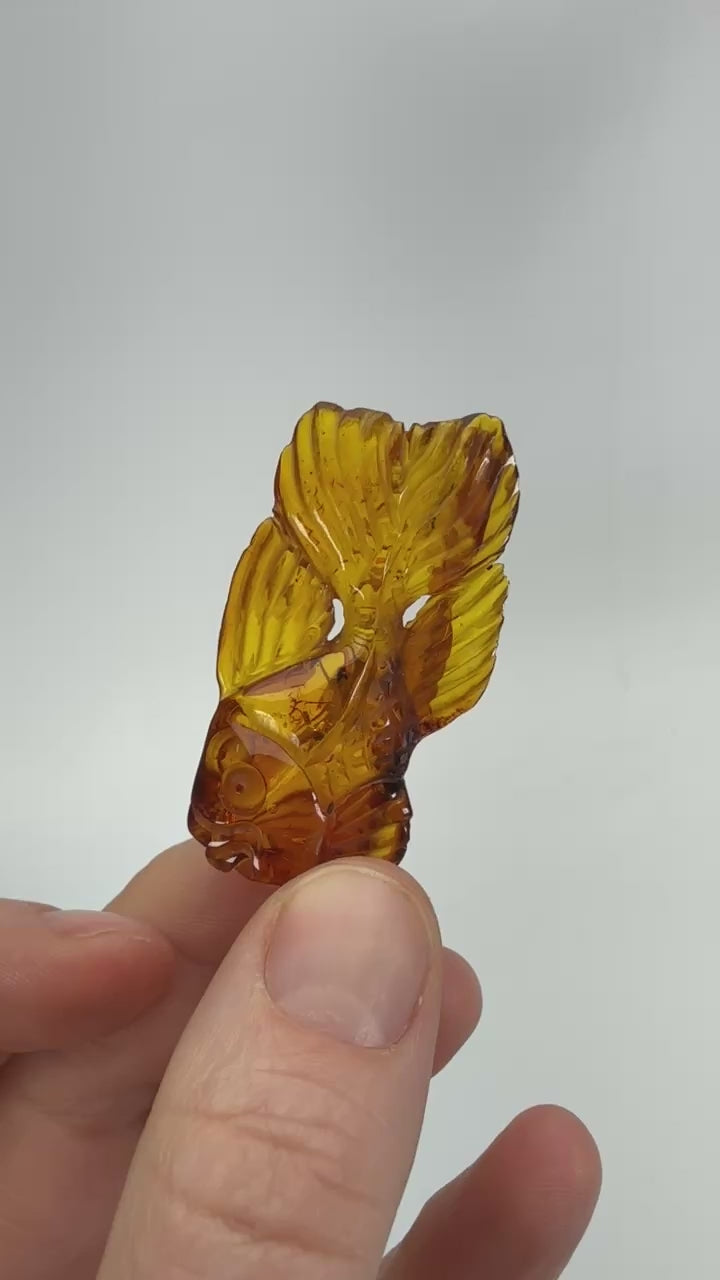 Baltic Amber Koi Fish Carving DS833