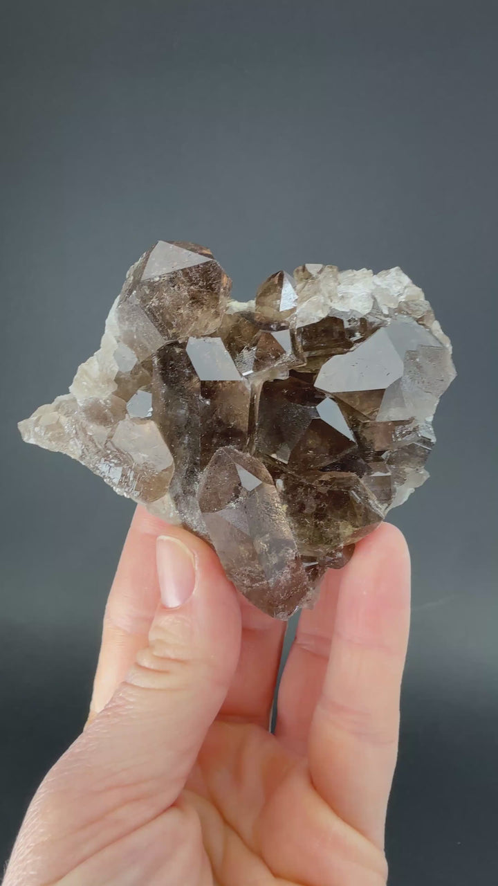 Smoky Quartz Cluster from Mt. Blanc DX3458