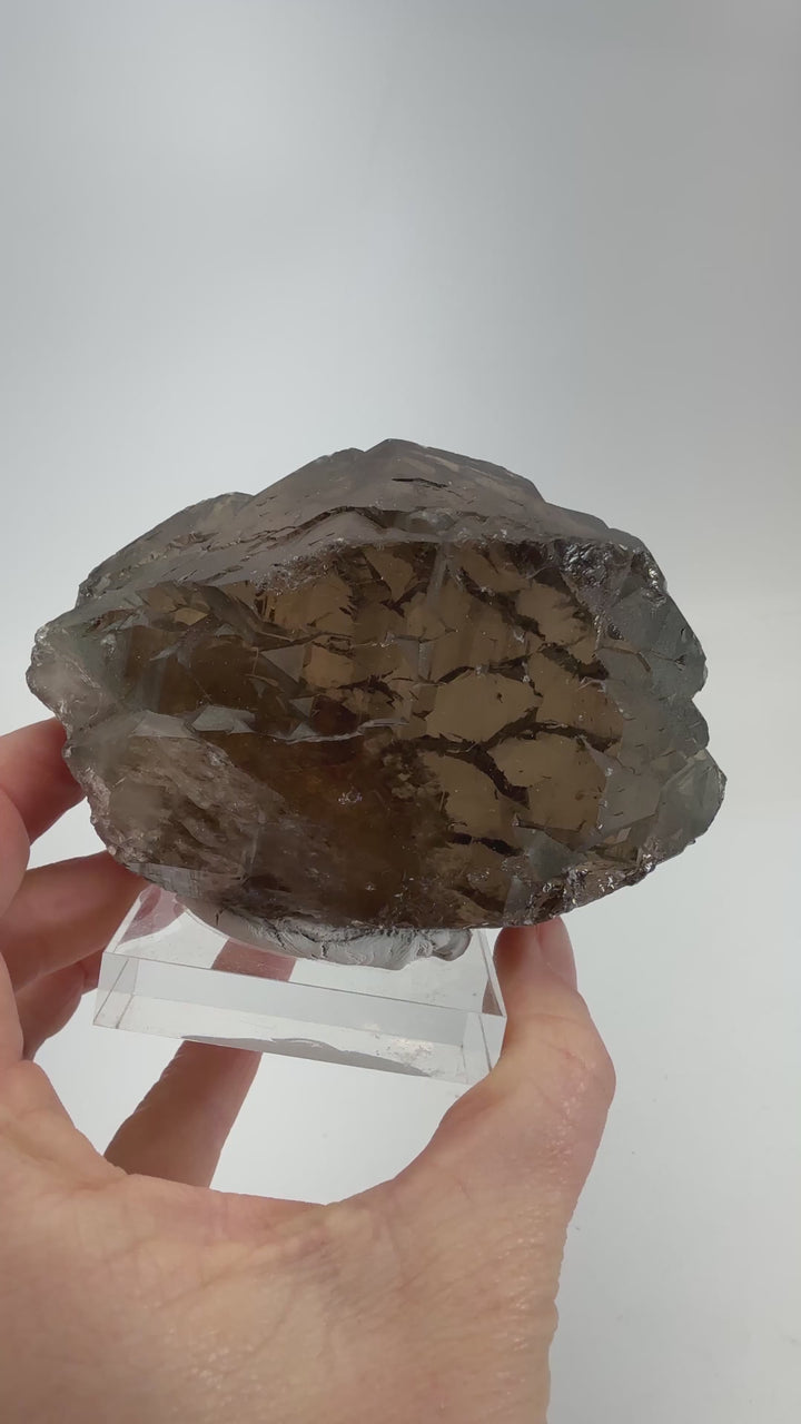 Smoky Quartz Gwindel from Mt. Blanc DX4581