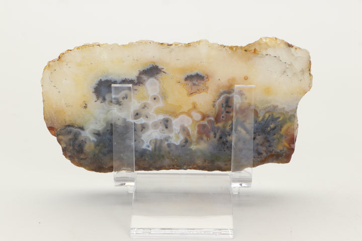 Trent Agate Slab DS1096