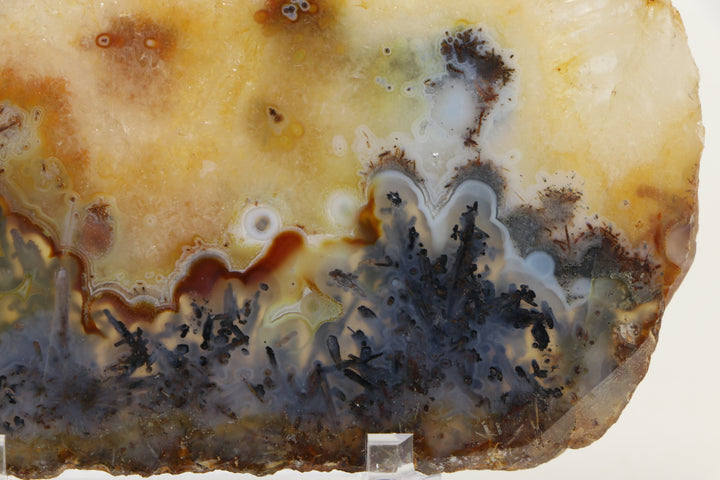 Trent Agate Slab DS1096