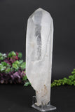 8.5" Lemurian