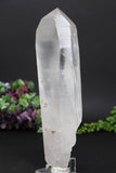 8.5" Lemurian