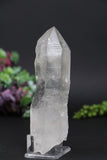 5.5" Lemurian