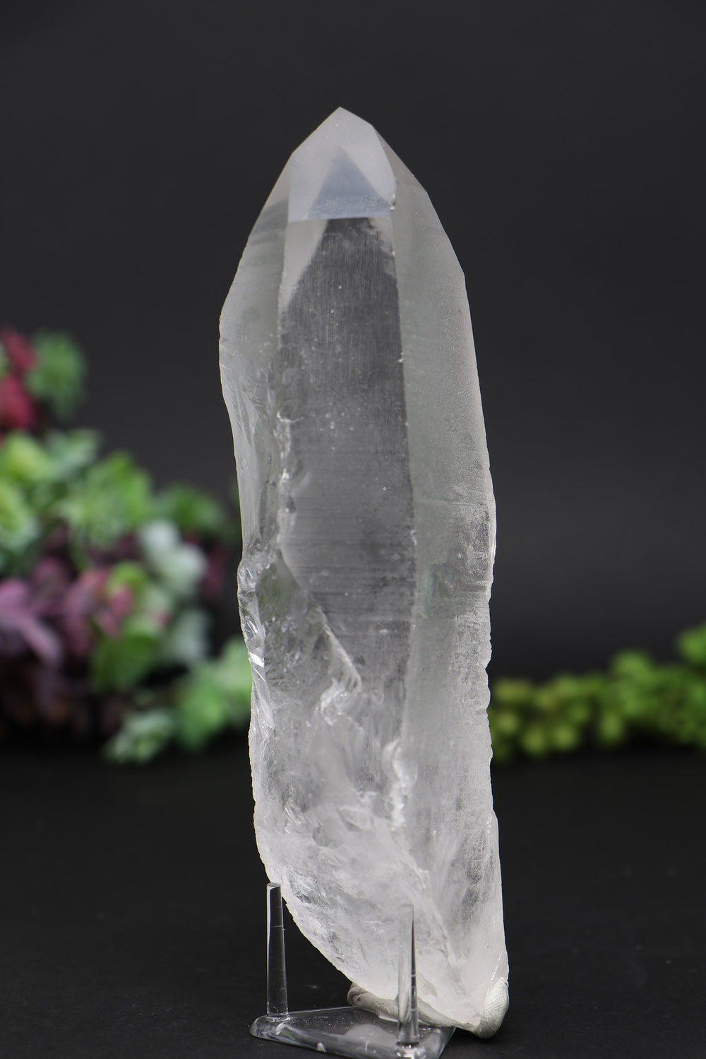 6" Lemurian
