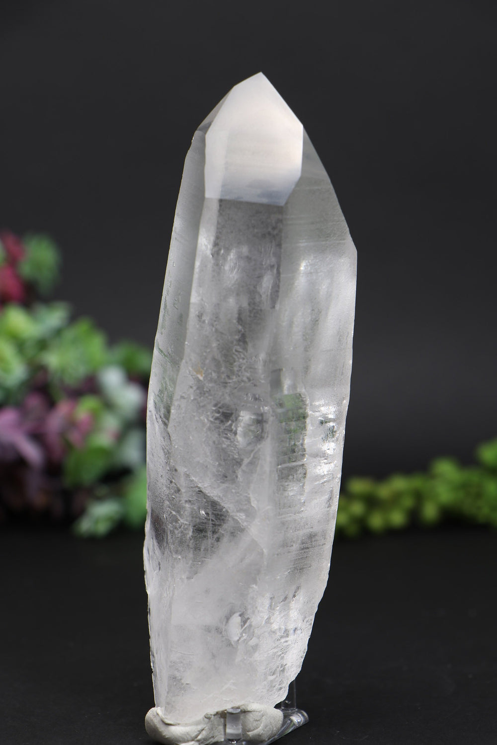 6" Lemurian