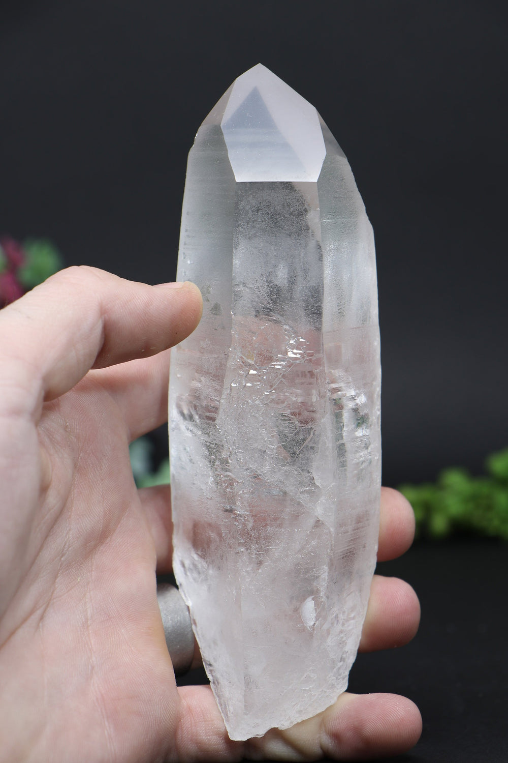 6" Lemurian