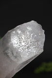 6.5" Self-healed Lemurian