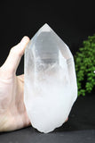 7" Lemurian