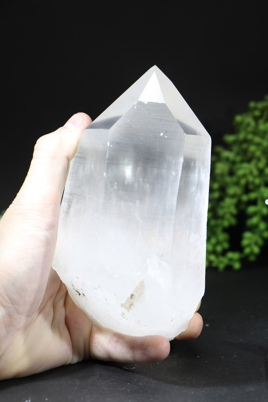 7" Lemurian