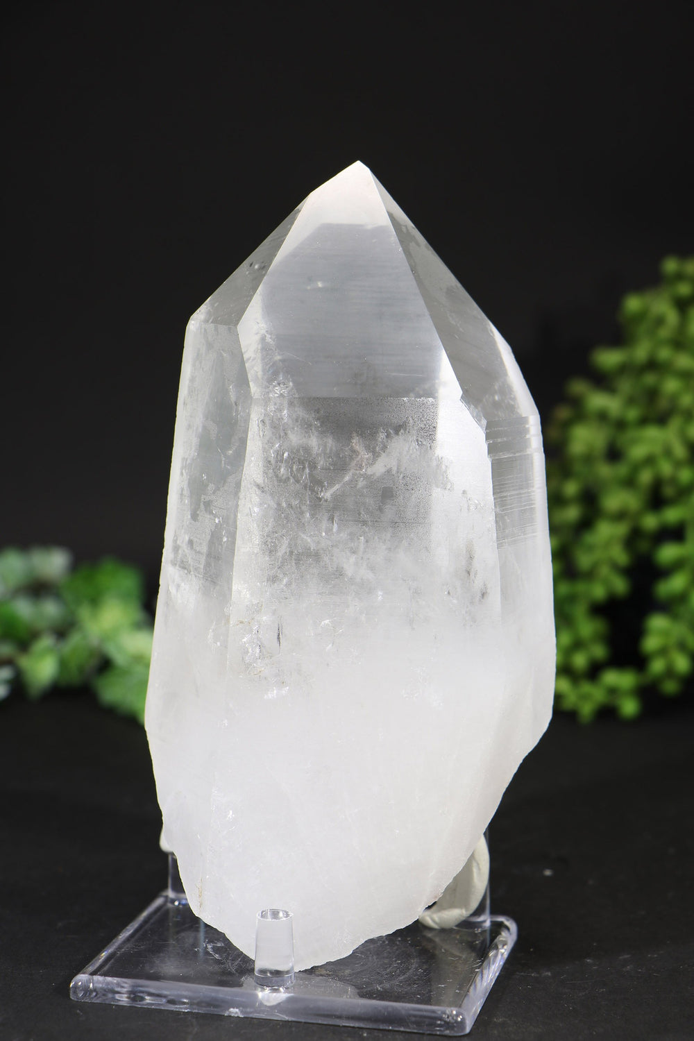 7" Lemurian