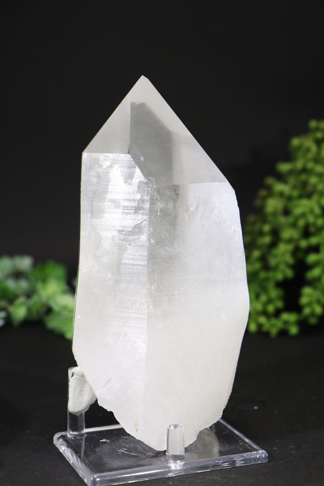 7" Lemurian