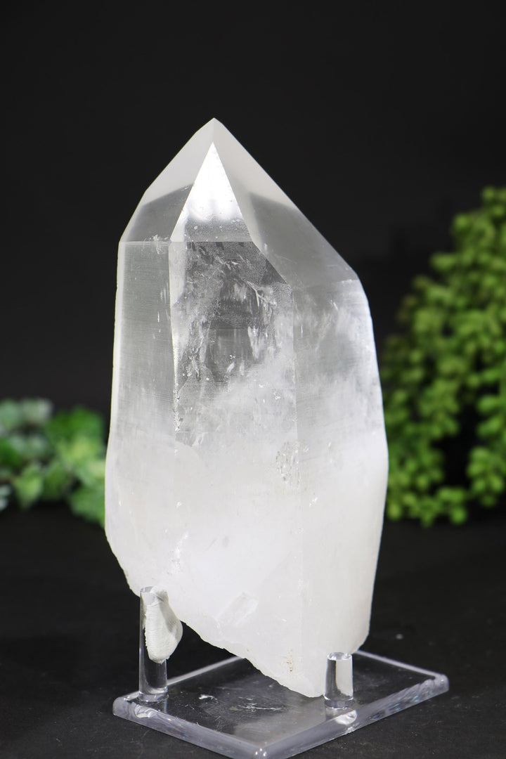 7" Lemurian