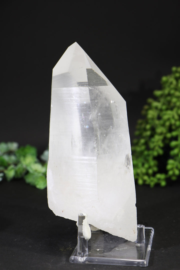 7" Lemurian