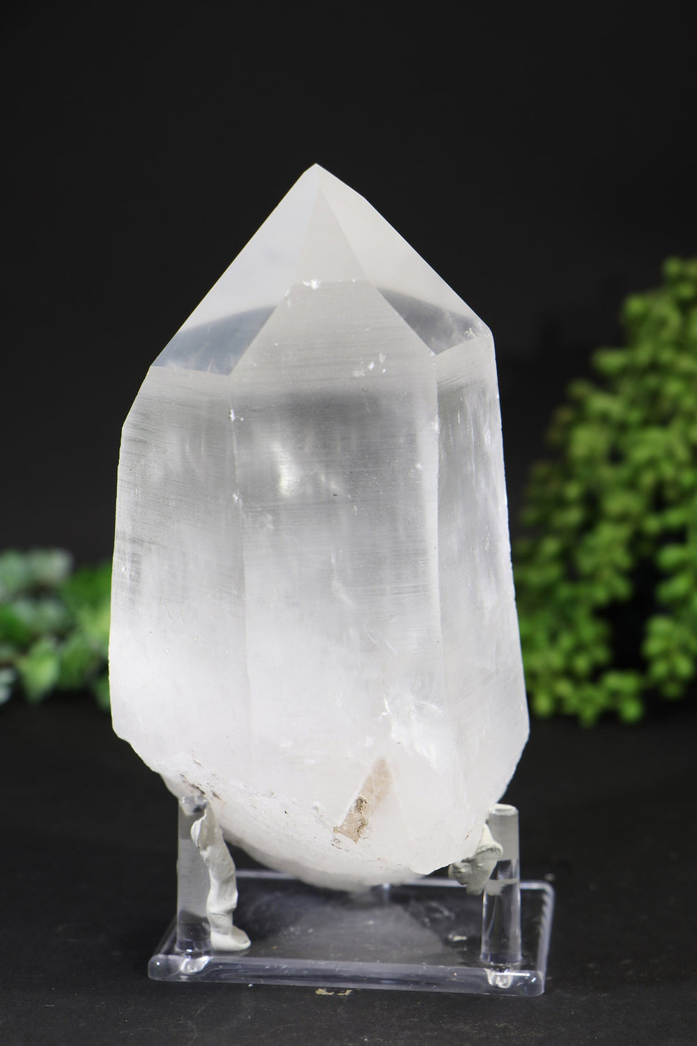 7" Lemurian