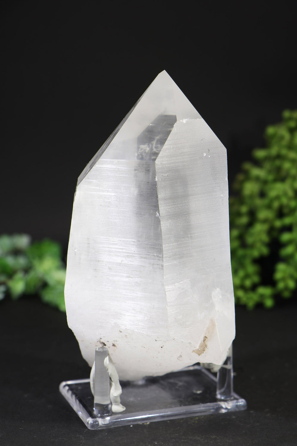 7" Lemurian