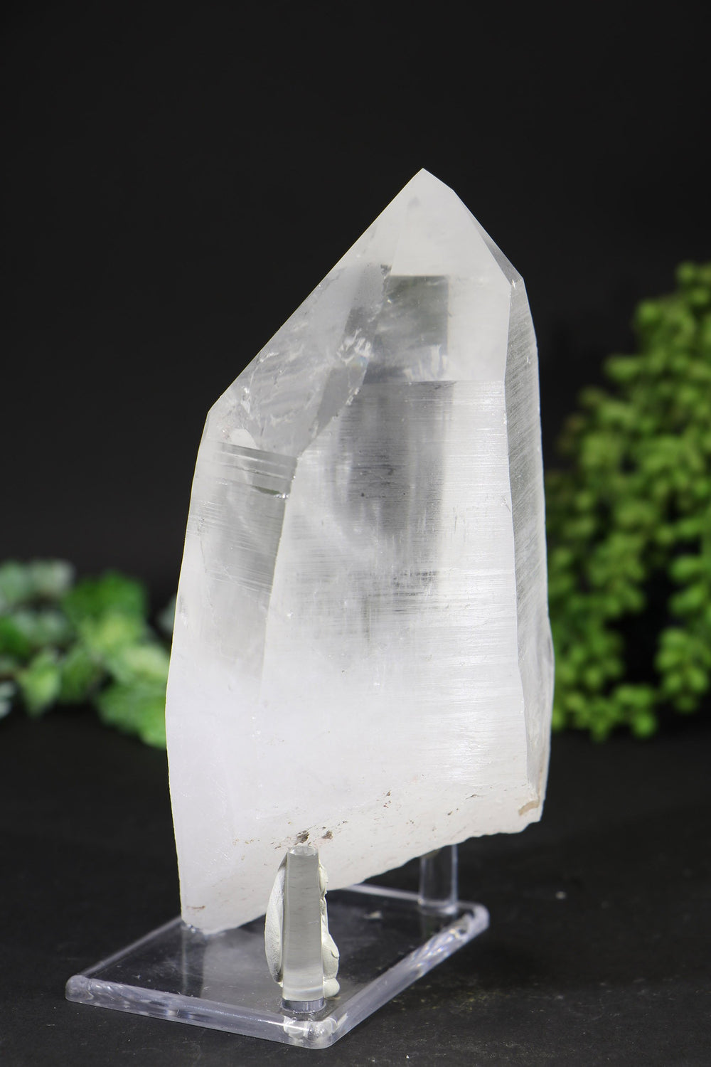 7" Lemurian