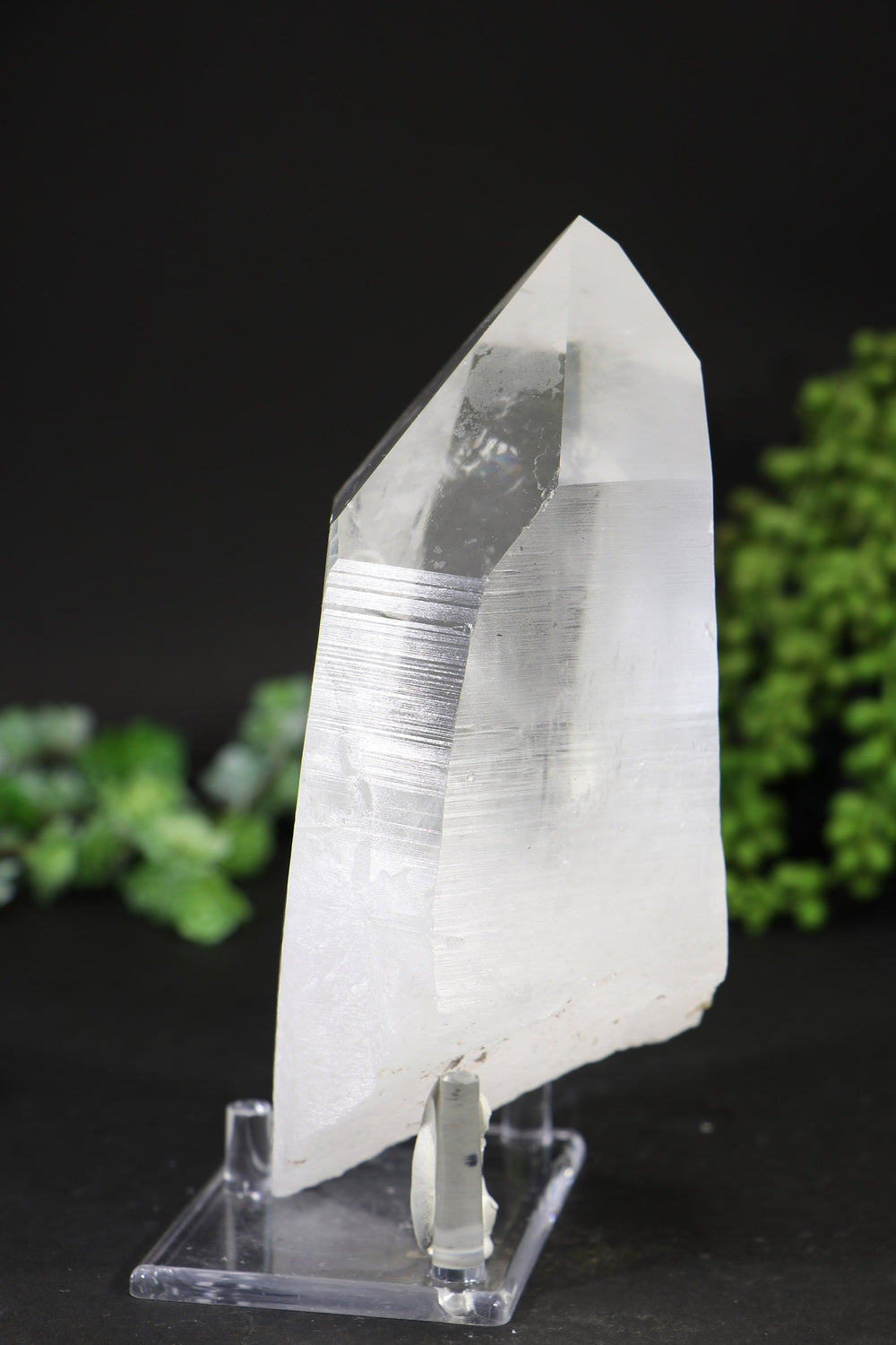 7" Lemurian