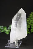 7" Lemurian