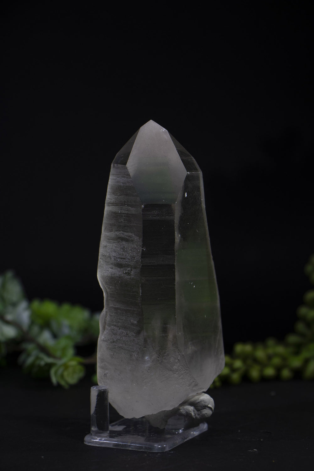 5" Smoky Lemurian