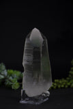 5" Smoky Lemurian