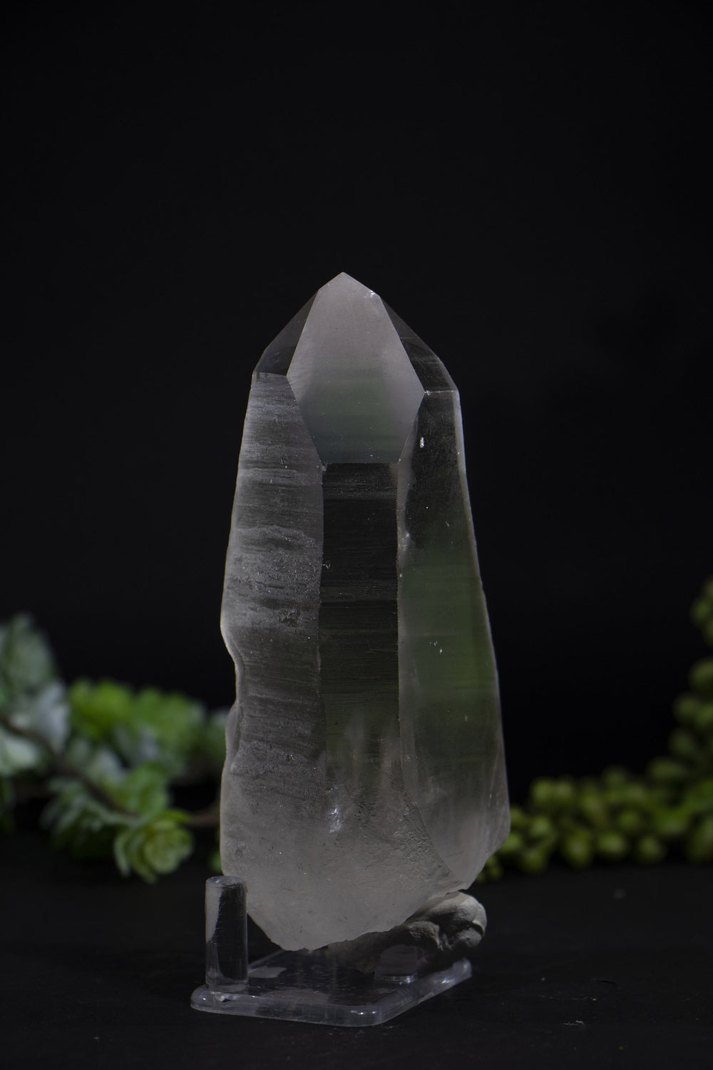 5" Smoky Lemurian