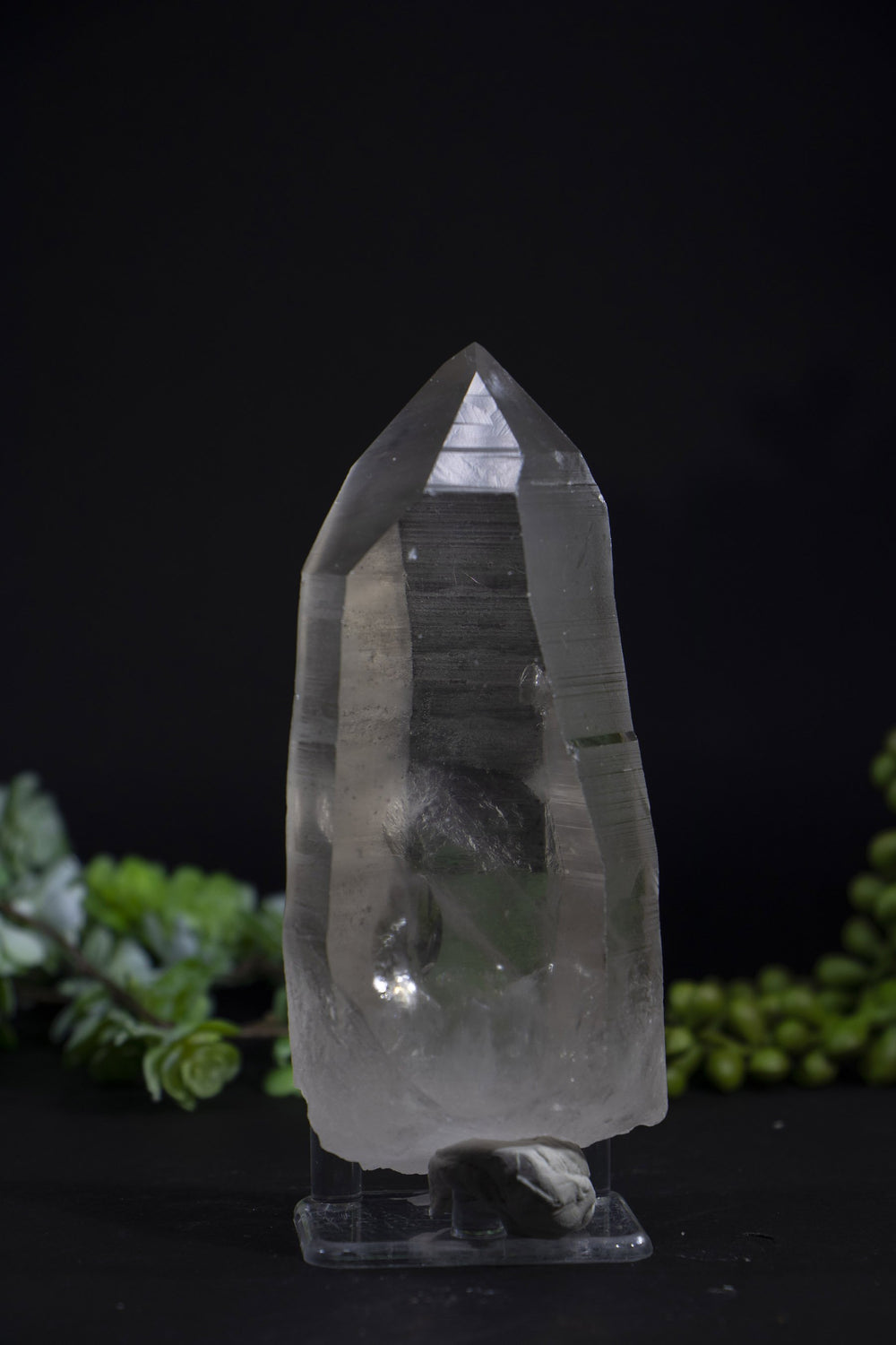 5" Smoky Lemurian