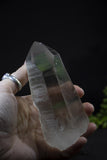 5" Smoky Lemurian