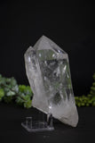 5.5" Lemurian