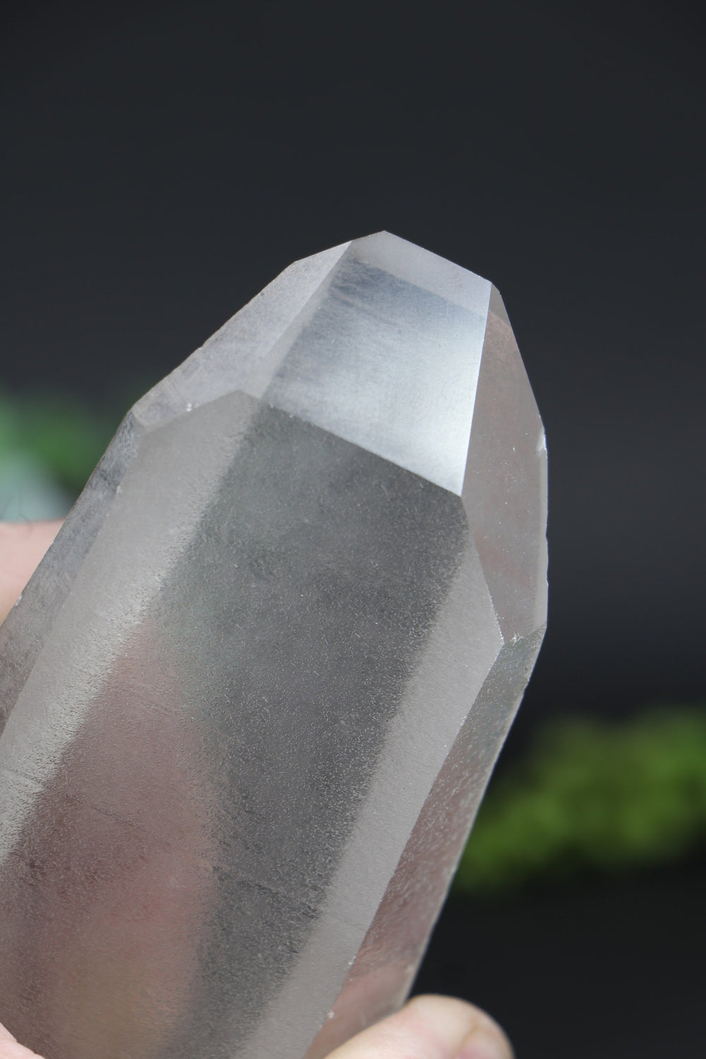 6.25" Lemurian