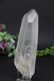 6.25" Lemurian