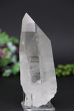 4.5" Lemurian