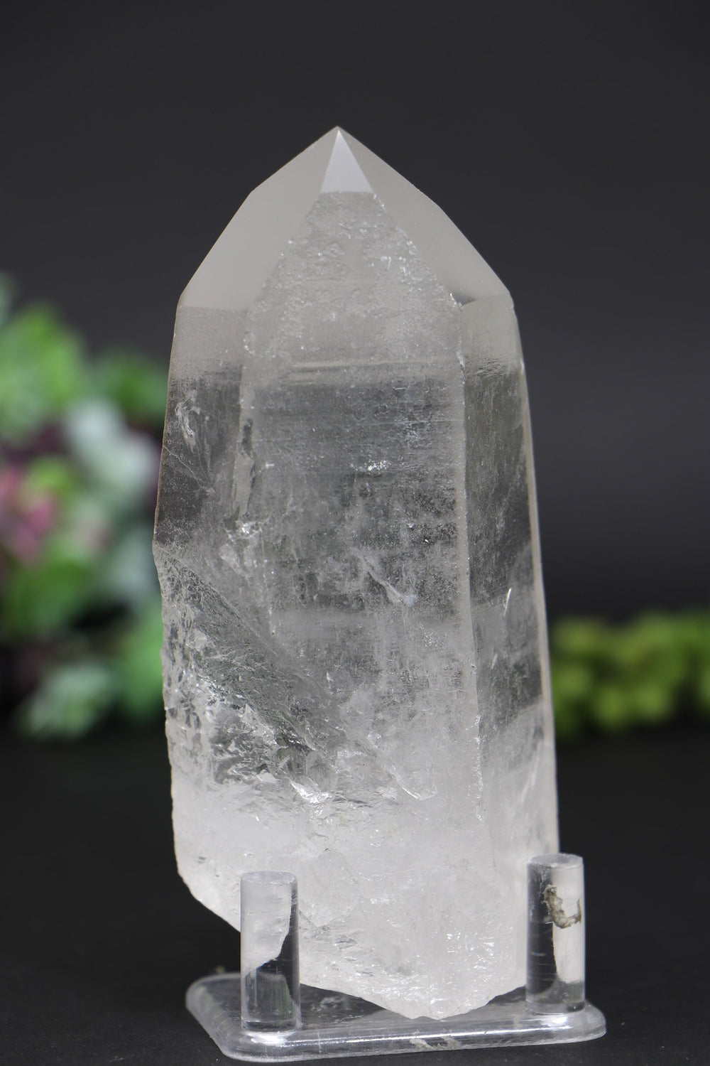 4.5" Lemurian