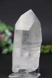 4.5" Lemurian
