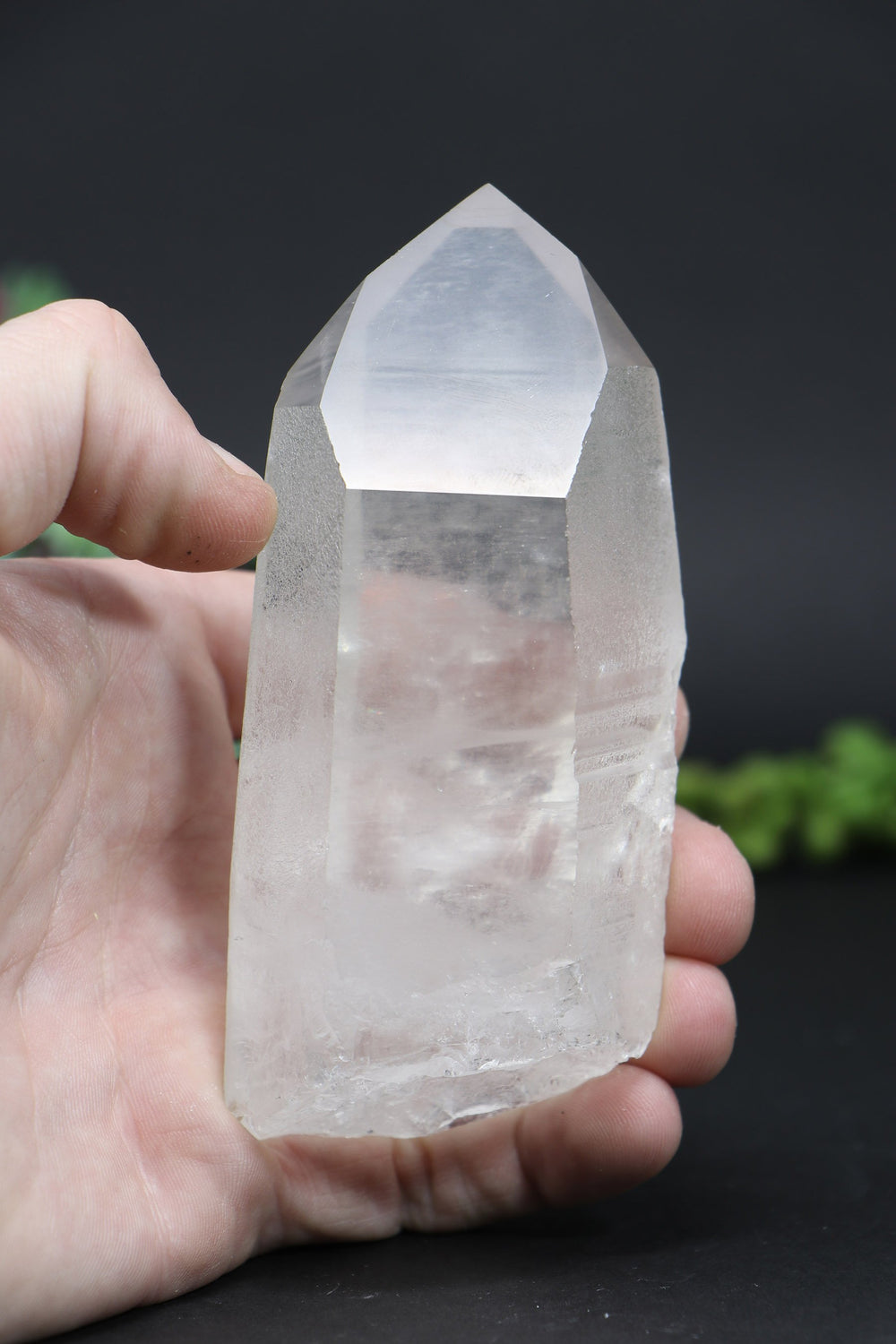 4.5" Lemurian