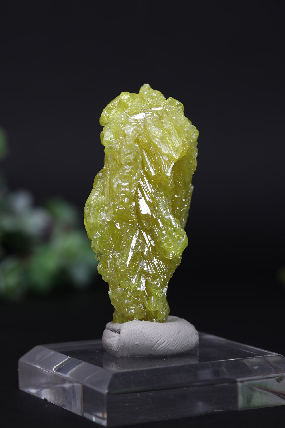23 g Skeletal Sulfur Crystal