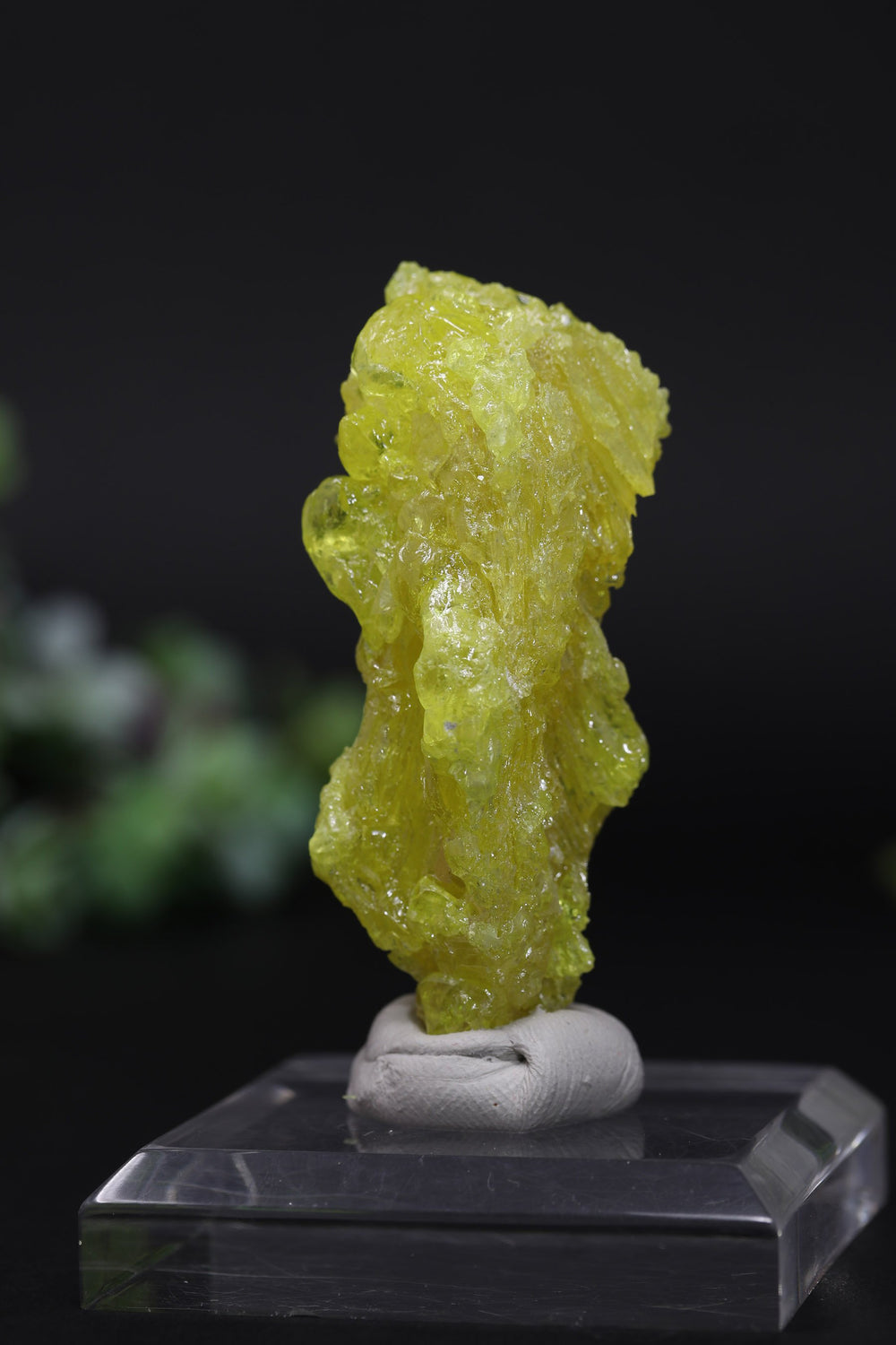 23 g Skeletal Sulfur Crystal