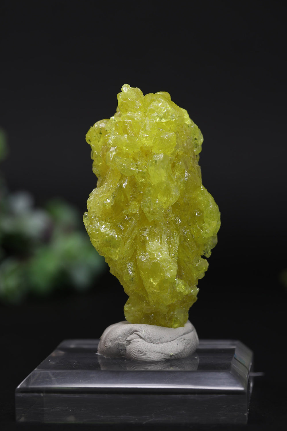 23 g Skeletal Sulfur Crystal