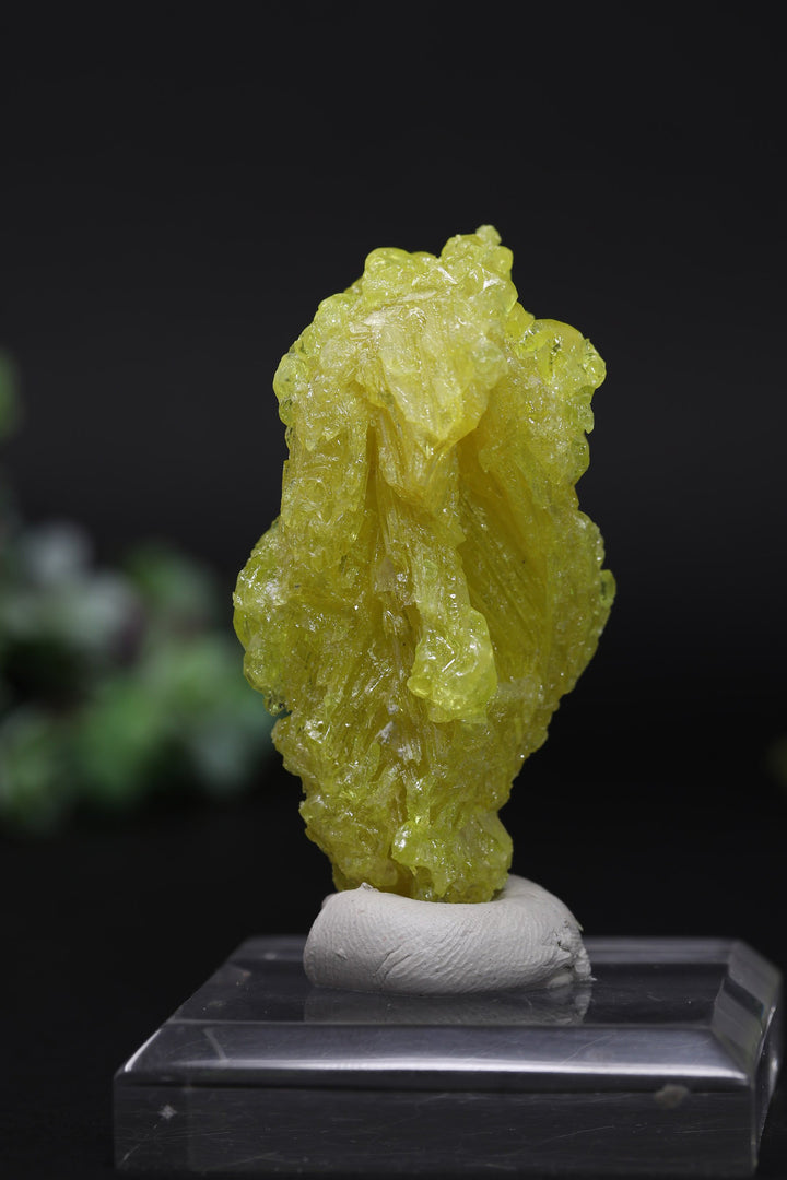 23 g Skeletal Sulfur Crystal