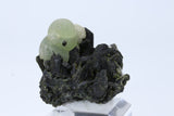 Botryoidal Prehnite on Epidote DA1009