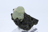 Botryoidal Prehnite on Epidote DA1009