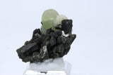 Botryoidal Prehnite on Epidote DA1009
