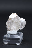Himalayan Quartz Cluster DC523