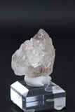 Himalayan Quartz Cluster DC523