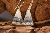 Dendritic Opal Earrings DD1233