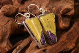 Atlantisite Earrings DD1276