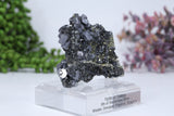 Pyrite on Galena Mounted Specimen from 9th of September Mine DD1806